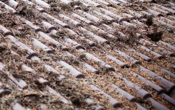 Dorney roof cleaning companies